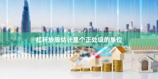 杠杆炒股估计是个正处级的单位