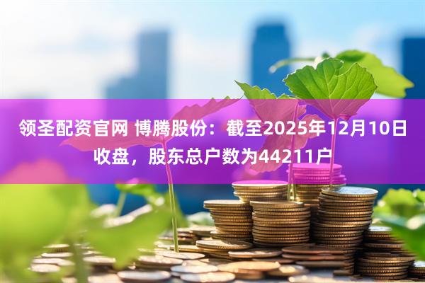 领圣配资官网 博腾股份：截至2025年12月10日收盘，股东总户数为44211户