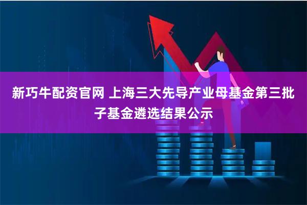 新巧牛配资官网 上海三大先导产业母基金第三批子基金遴选结果公示