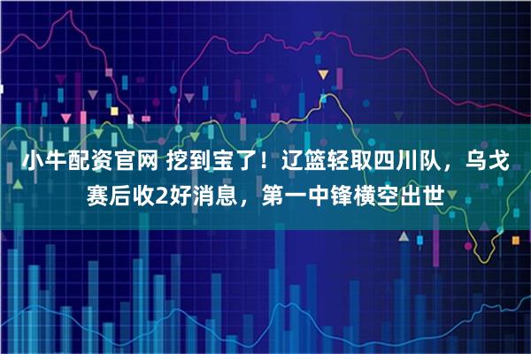 小牛配资官网 挖到宝了!辽篮轻取四川队,乌戈赛后收2好消息,第一中锋横空出世